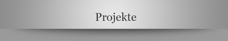 Projekte